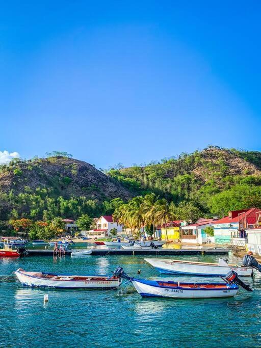Villa Ker Iguane Terre De Haut Les Saintes 외부 사진
